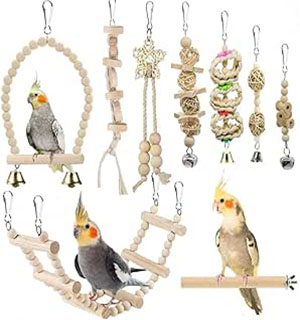 Bird toys